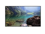 Hisense Digital Window Facing Signage 55", 4000 nits, UHD, with 7day x 24hrs operation, Android 11 OPS - 55WH80F
